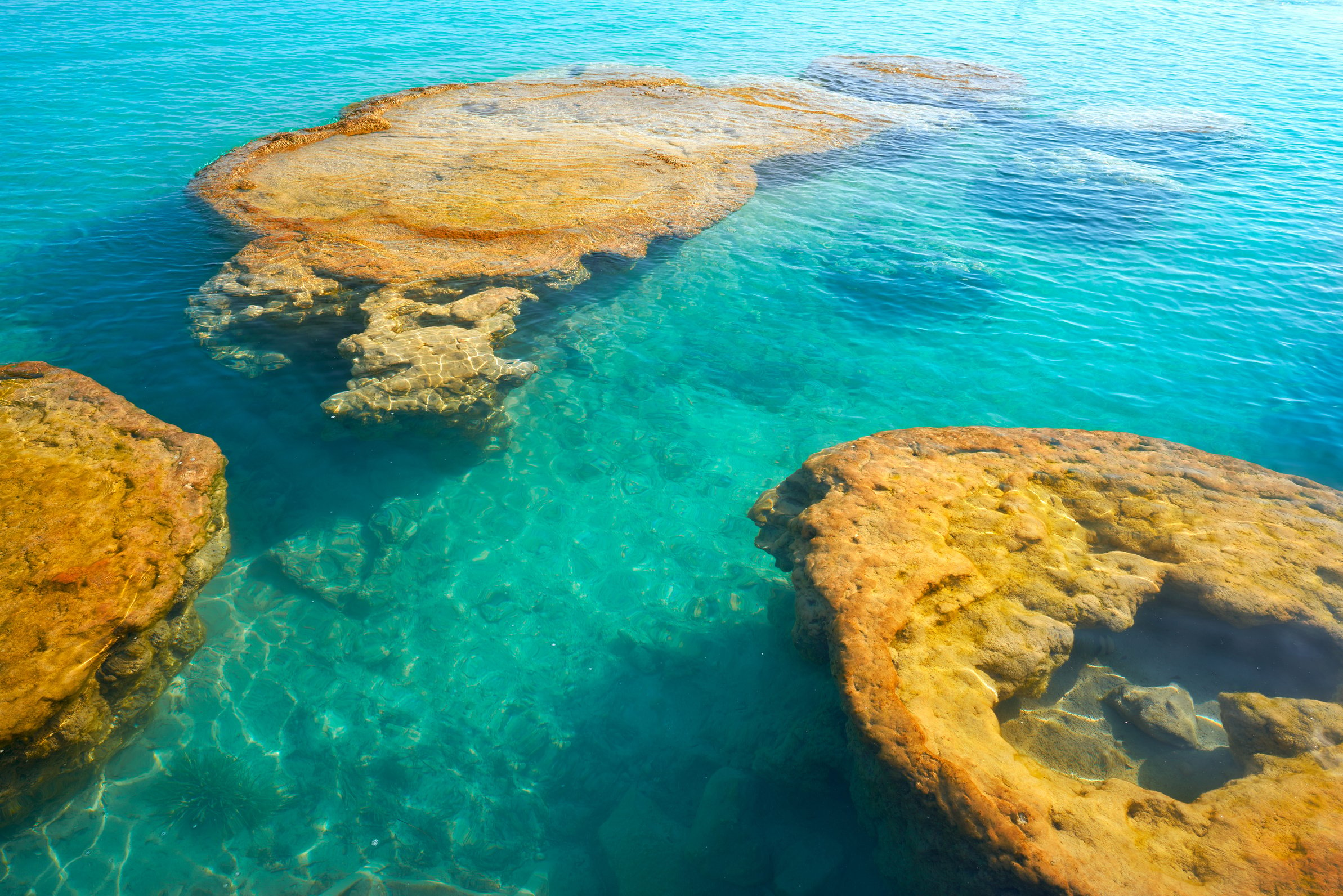 Stromatolites in Bacalar Lagoon of Mexico